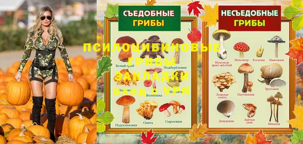 гидра Абинск