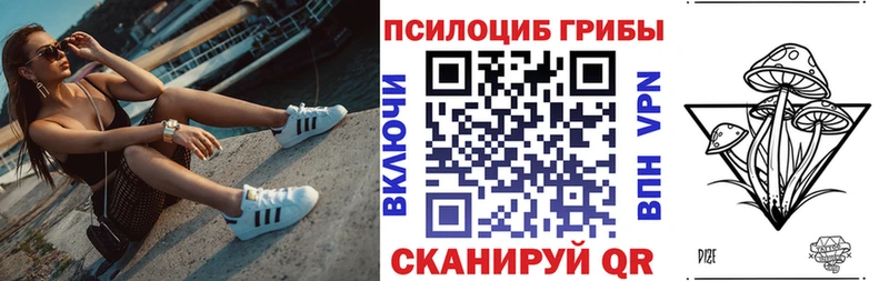 hydra   Десногорск  Галлюциногенные грибы Cubensis 