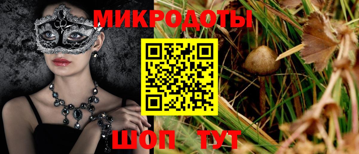 Псилоцибиновые грибы Psilocybe Десногорск
